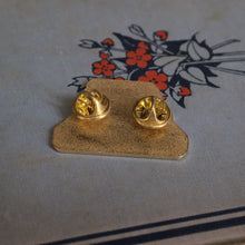 Load image into Gallery viewer, All I Need is a Cat and a Book Pin